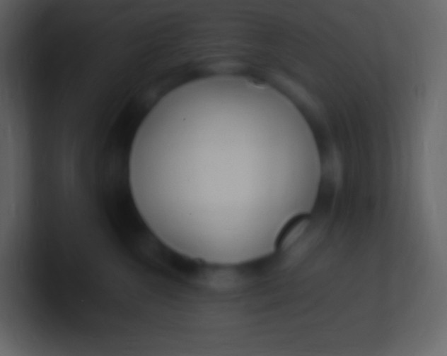 X0000100940572200807081237