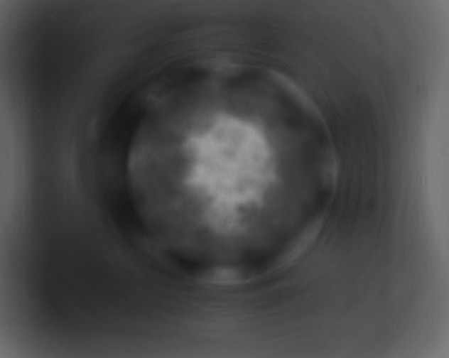 X0000100940573200807081237