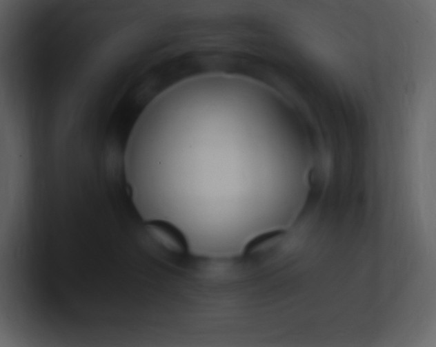 X0000100940574200807081237