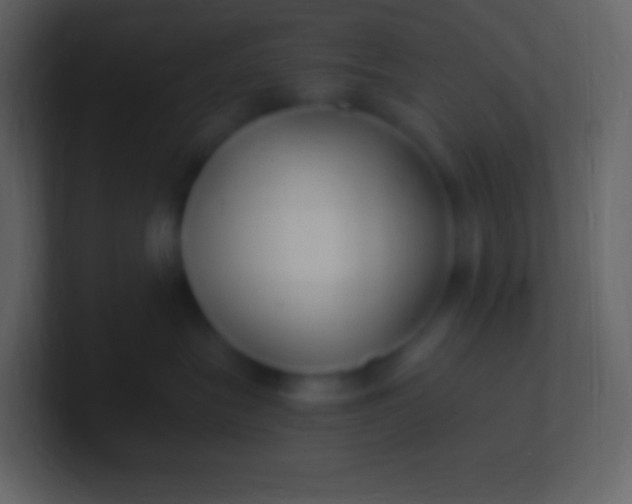 X0000100940575200807081237