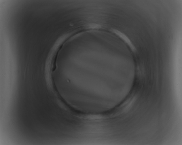 X0000100940577200807081237