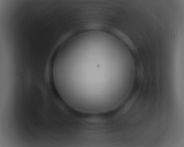 X0000100940578200807081236