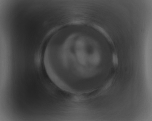 X0000100940579200807081236