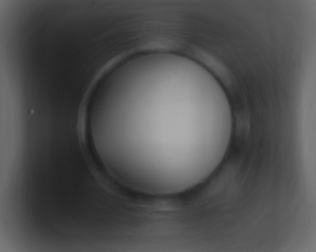 X0000100940580200807081236