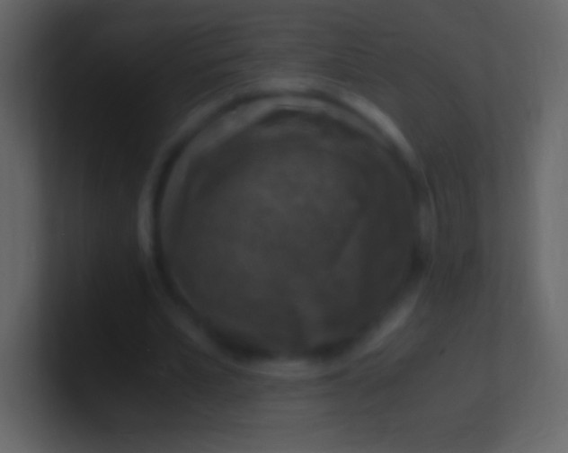 X0000100940581200807081236