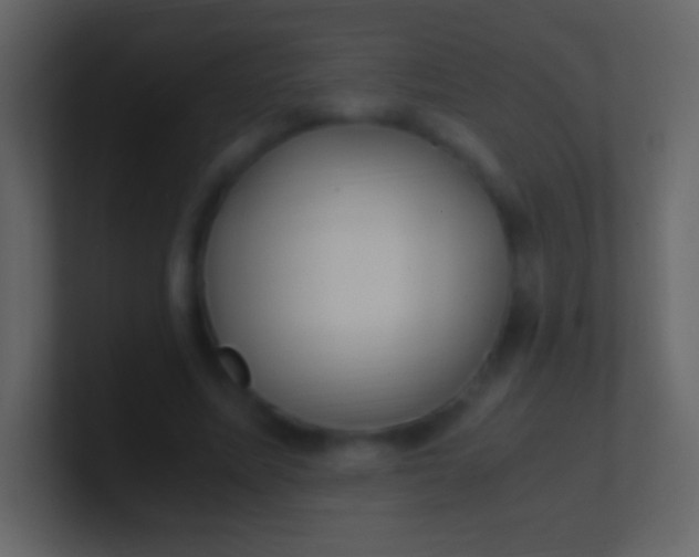 X0000100940587200807081236