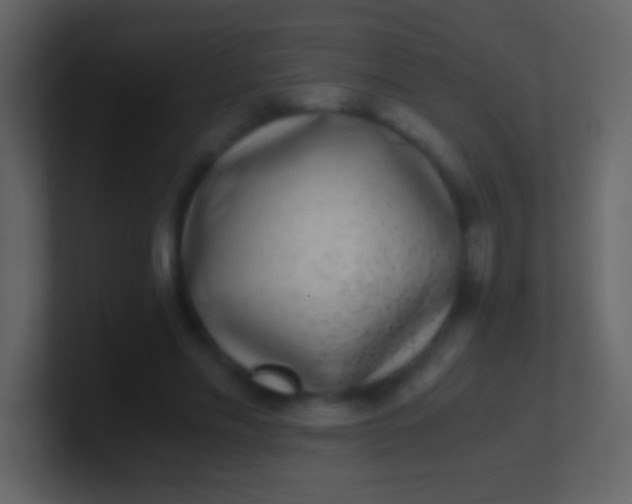 X0000100940589200807081236