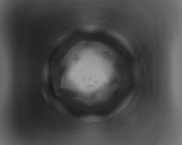 X0000100940590200807081236