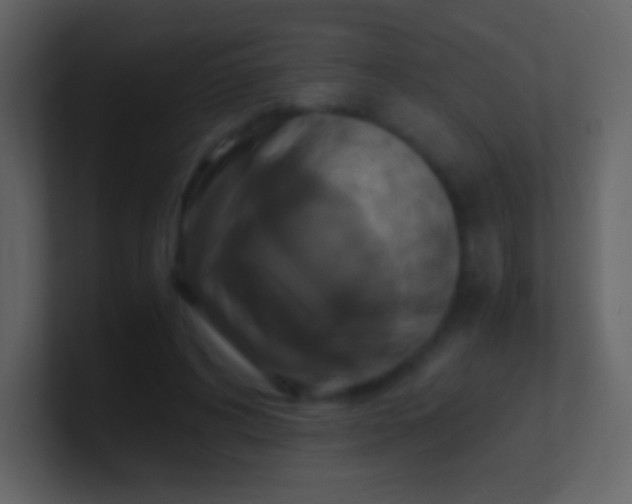 X0000100940592200807081236