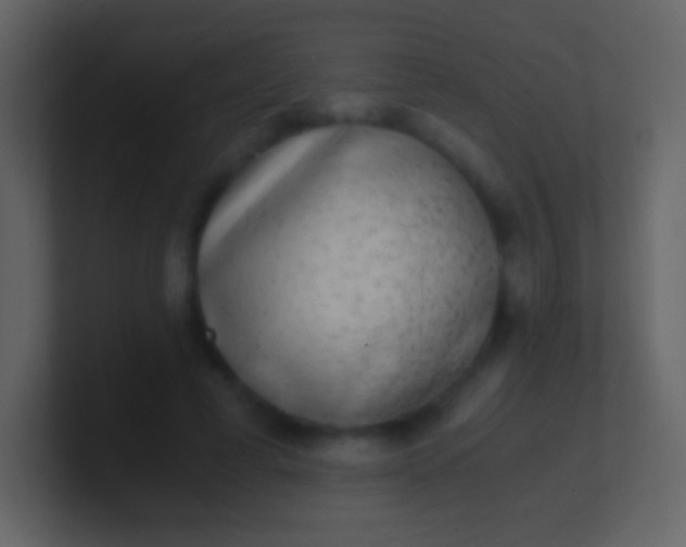 X0000100940593200807081236