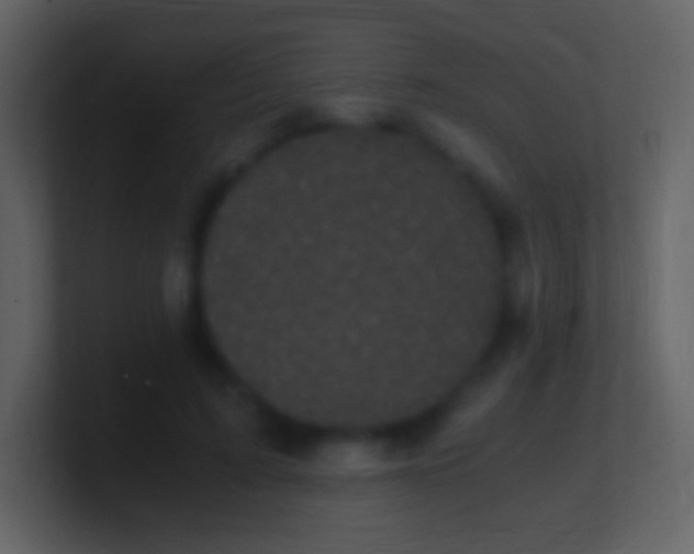 X0000100940595200807081236