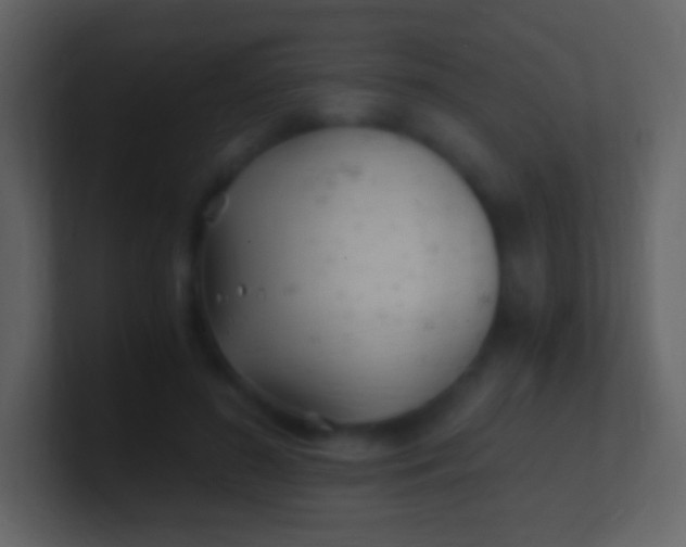 X0000100940596200807081236