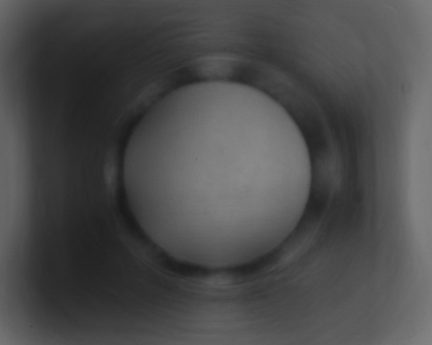 X0000100940600200807081236