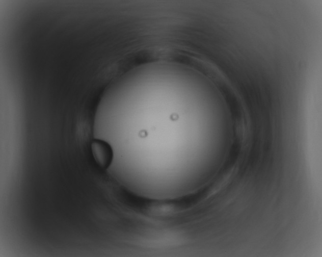 X0000100940602200807081236