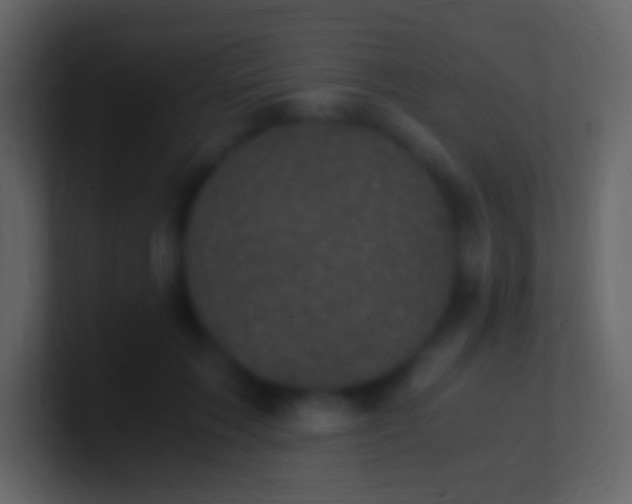 X0000100940603200807081236