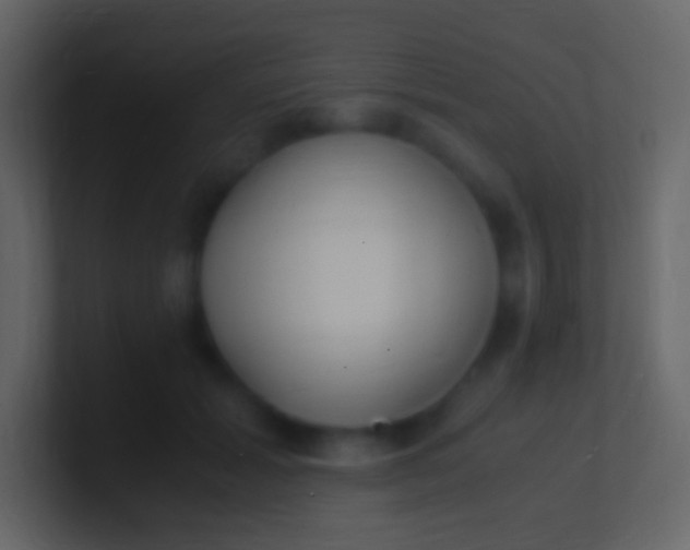 X0000100940605200807081236