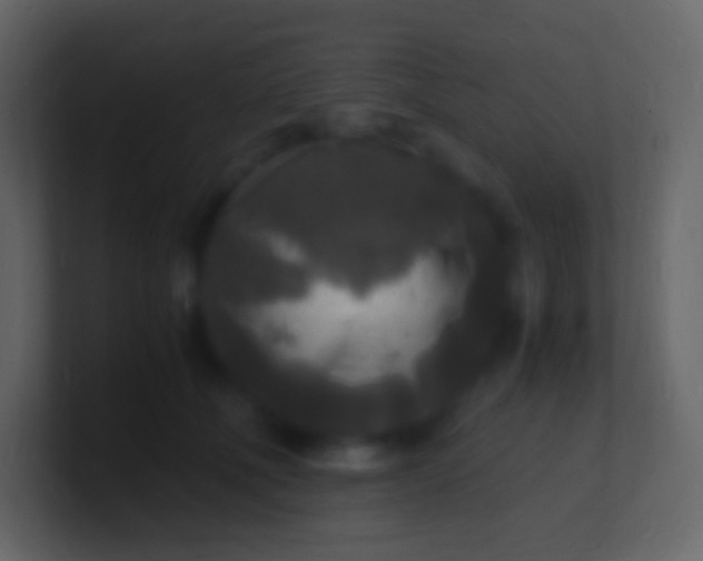 X0000100940610200807081236