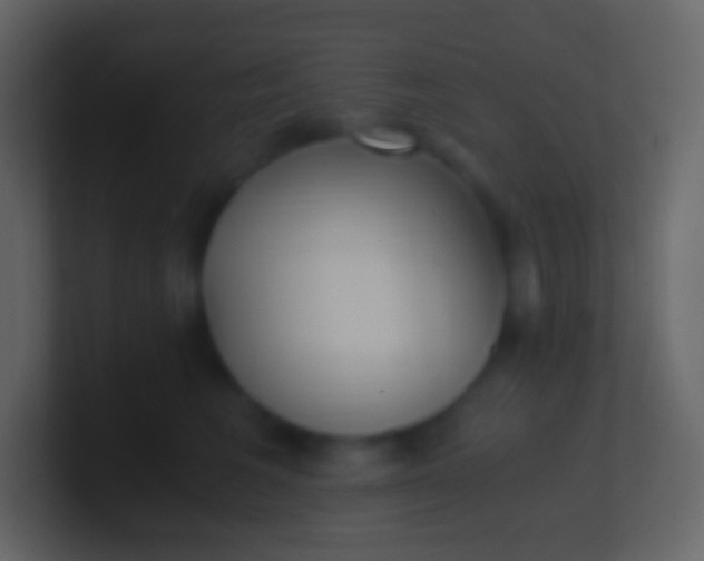 X0000100940613200807081236