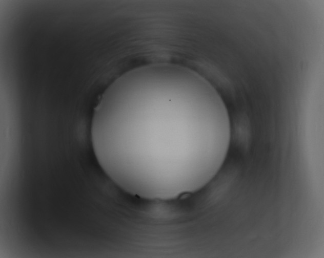 X0000100940616200807081236