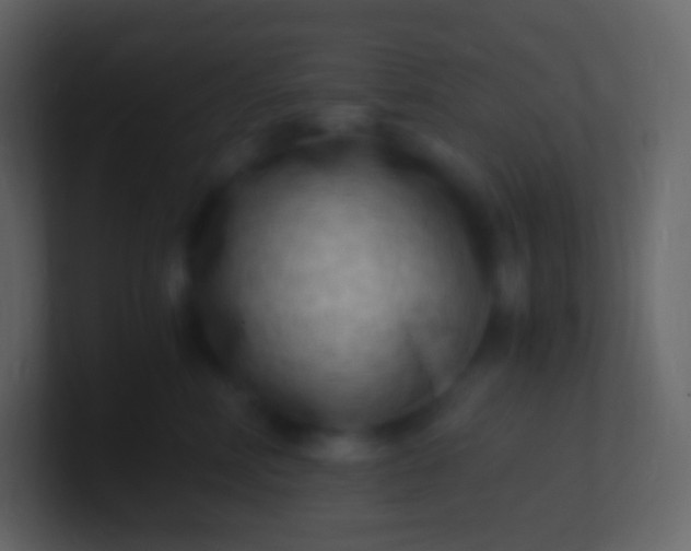 X0000100940618200807081236