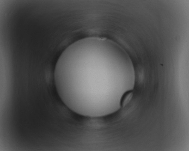 X0000100940619200807081236