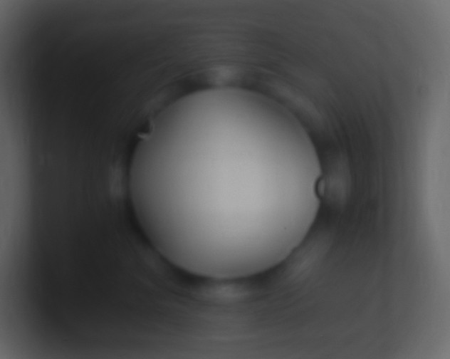 X0000100940620200807081236