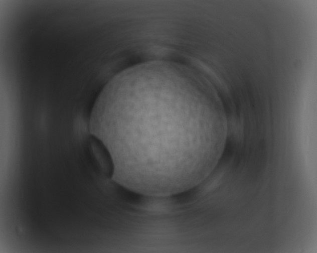 X0000100940621200807081236