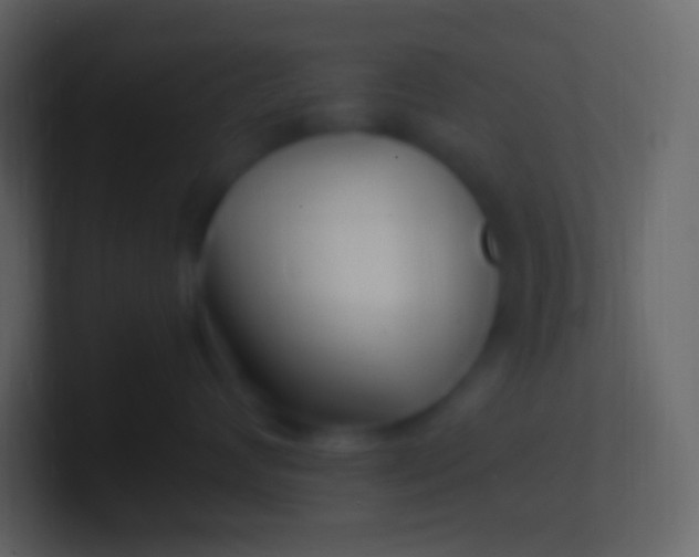 X0000100940624200807081236