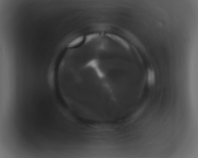 X0000100940627200807081235