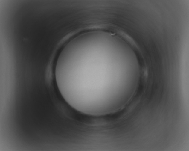 X0000100940628200807081235