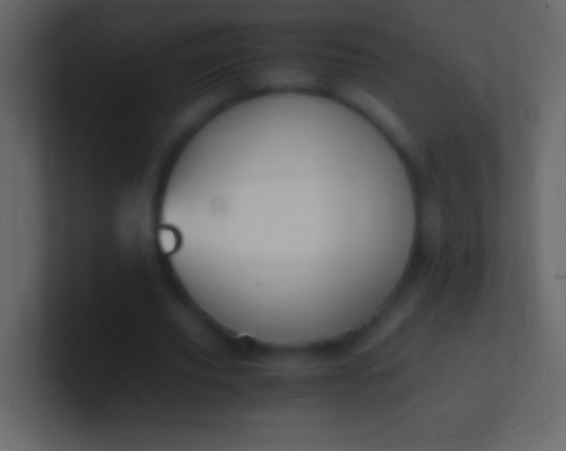 X0000100940629200807081235