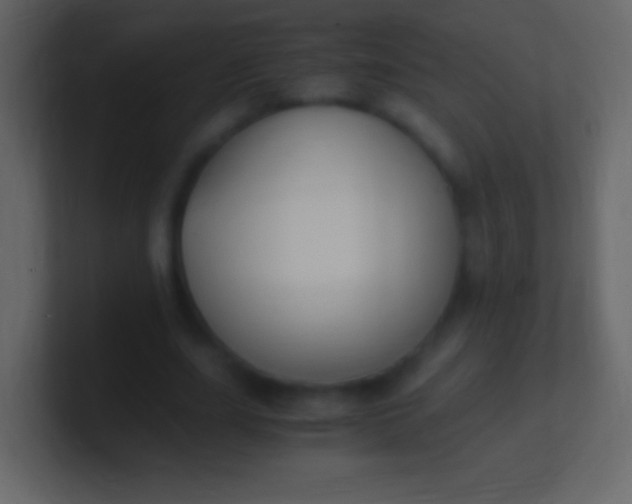 X0000100940631200807081235