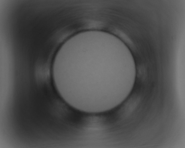 X0000100940632200807081235