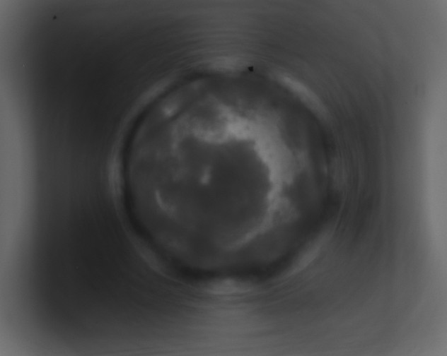 X0000100940634200807081235