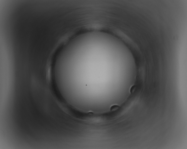 X0000100940638200807081235