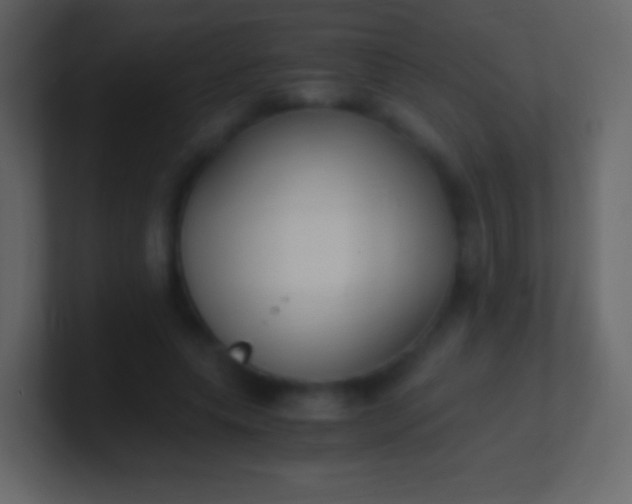 X0000100940639200807081235