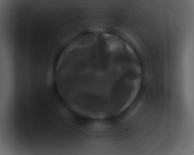 X0000100940641200807081235