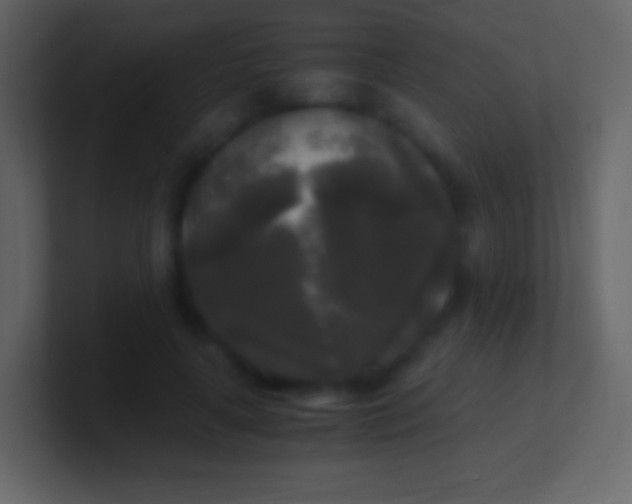 X0000100940643200807081235