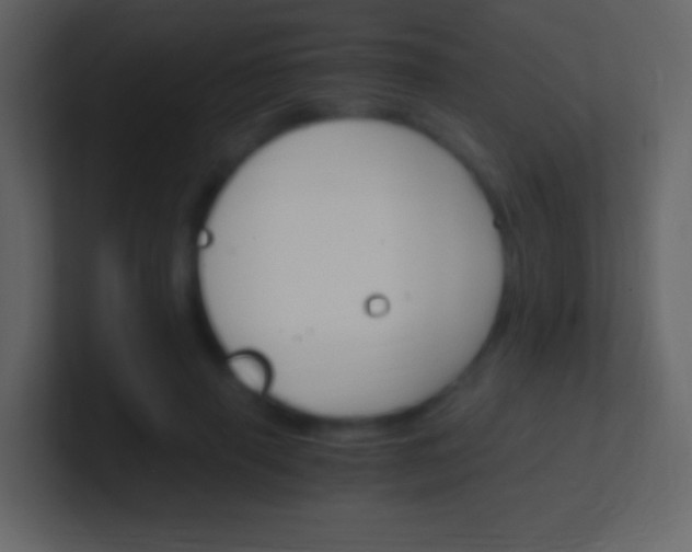 X0000100940645200807081235