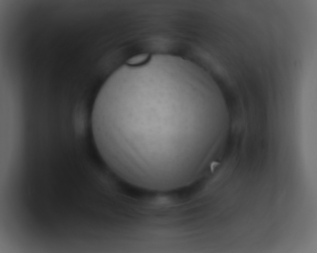 X0000100940647200807081236