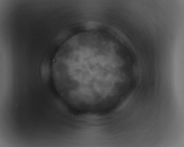 X0000100940648200807081236