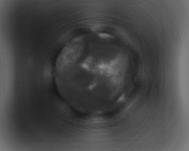 X0000100940650200807081236