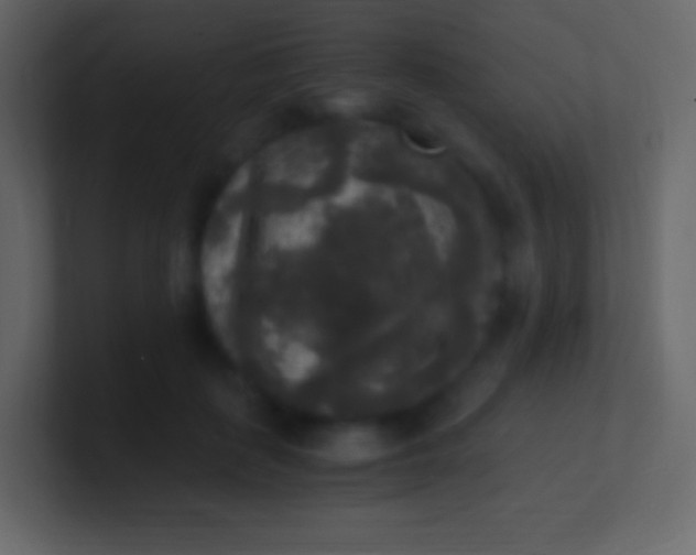 X0000100940651200807081236