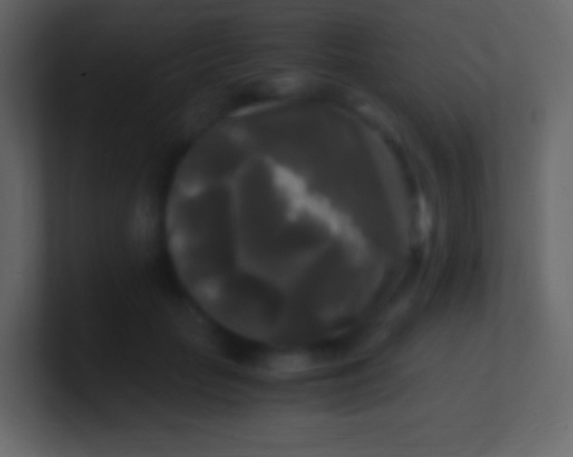 X0000100940653200807081236