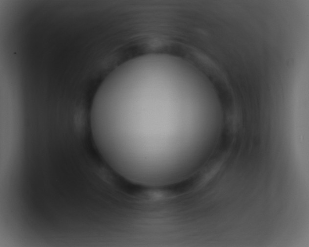 X0000100940654200807081236