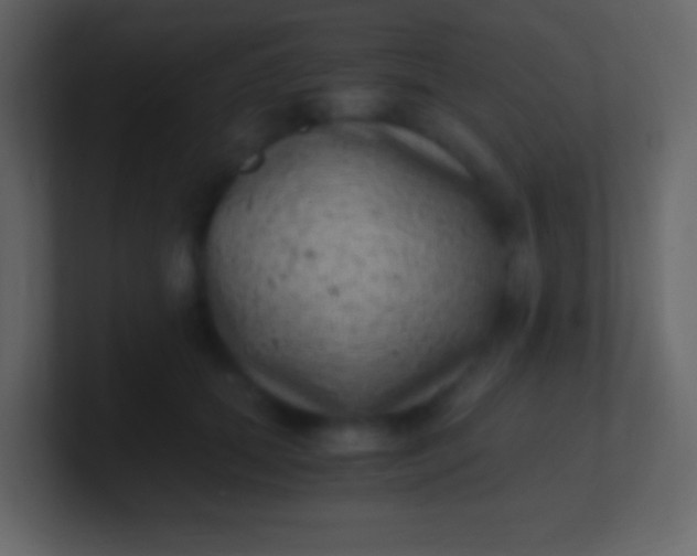 X0000100940655200807081236