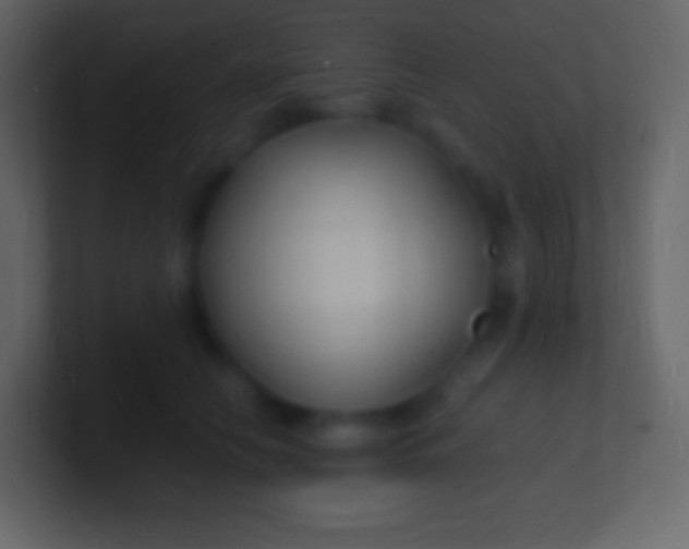 X0000100940658200807081236