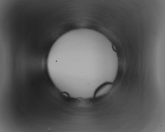 X0000100940660200807081236