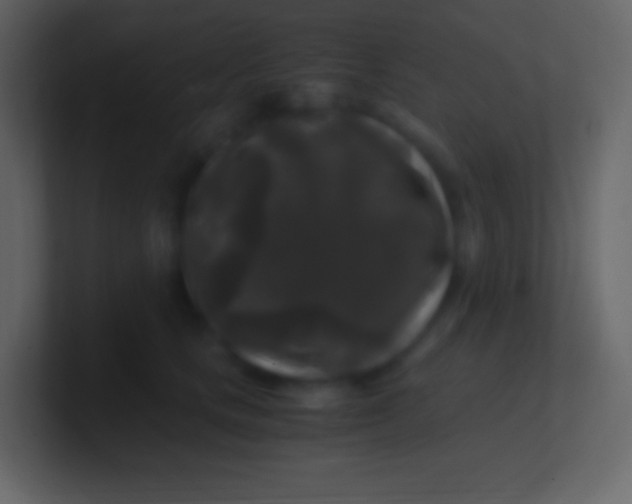 X0000100940661200807081236