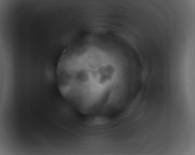 X0000100940663200807081236